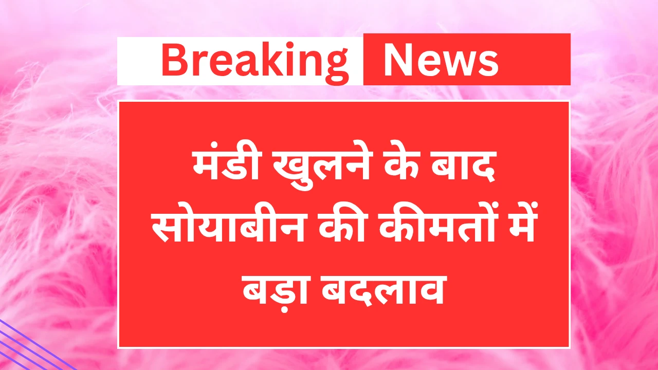 Breaking News मंडी खुलने के बाद सोयाबीन की कीमतों में बड़ा बदलाव