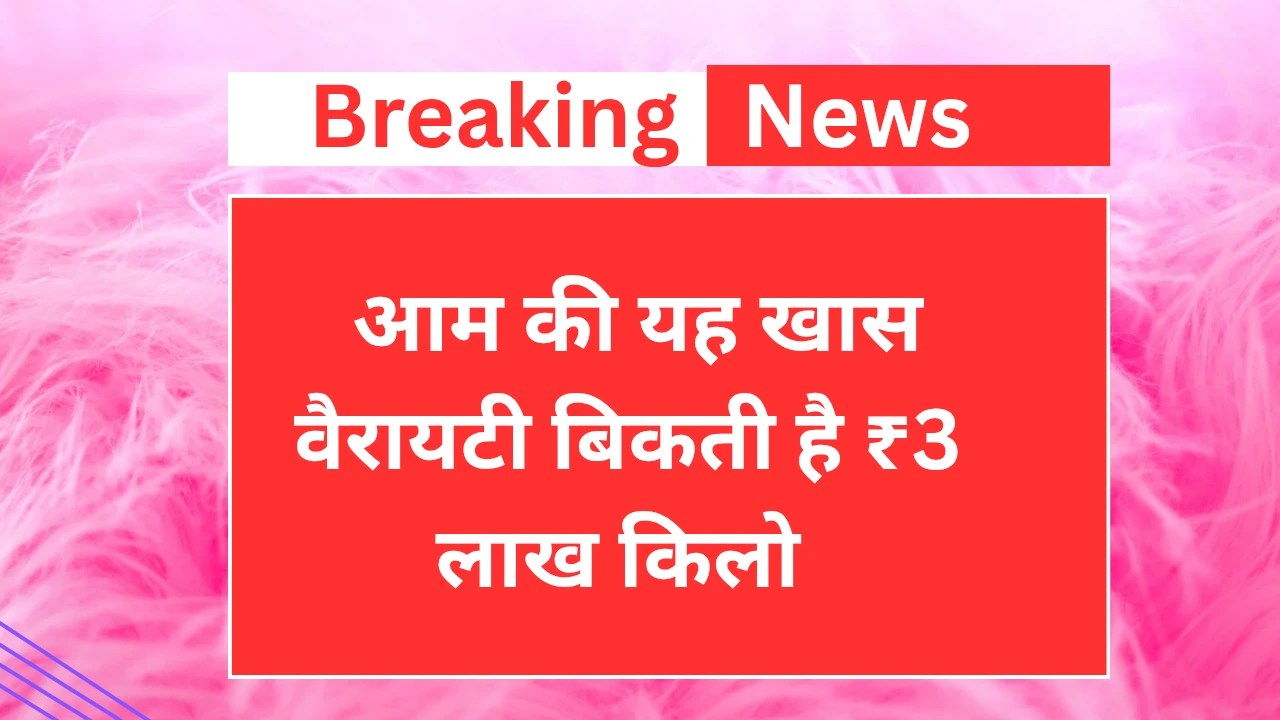 Breaking news आम की यह खास वैरायटी बिकती है ₹3 लाख किलो