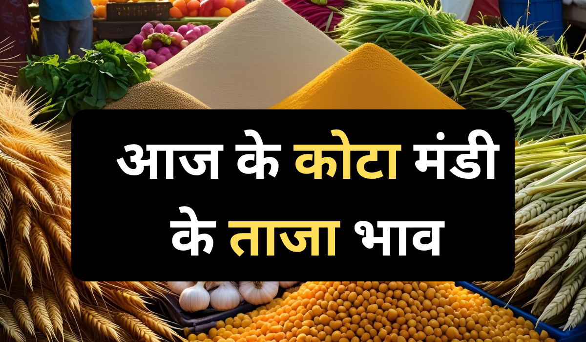 Aaj ke kota mandi ke taza bhav