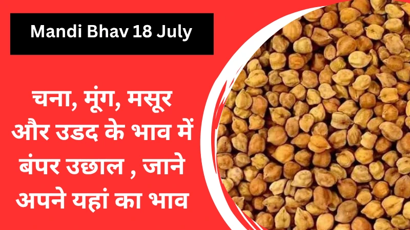 चना, मूंग, मसूर और उडद के भाव में बंपर उछाल , जाने अपने यहां का भाव