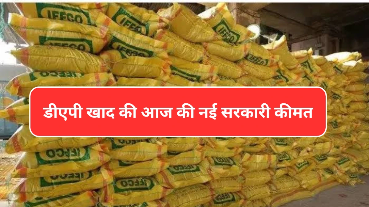 डीएपी खाद की नई रेट , दुकानदार आपको लूट लेगा, जाने आज की डीएपी खाद की सरकारी कीमत