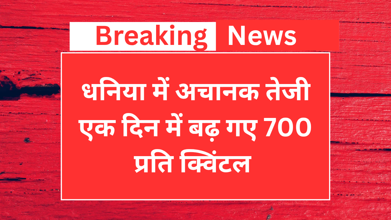Mandi News: दुनिया में अचानक तेजी 15 दिन में बढ़ गए 700 रुपए प्रति क्विंटल