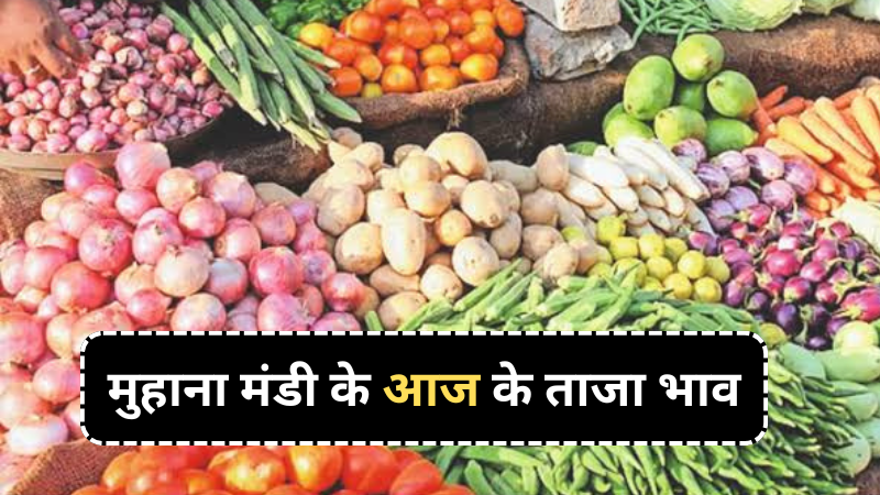 Muhana Mandi Update : आलू की ज्यादा आवक से कीमत गिरी, लहसुन प्याज में भी गिरावट, बाकी सब्जियां ने पकड़ी तेजी