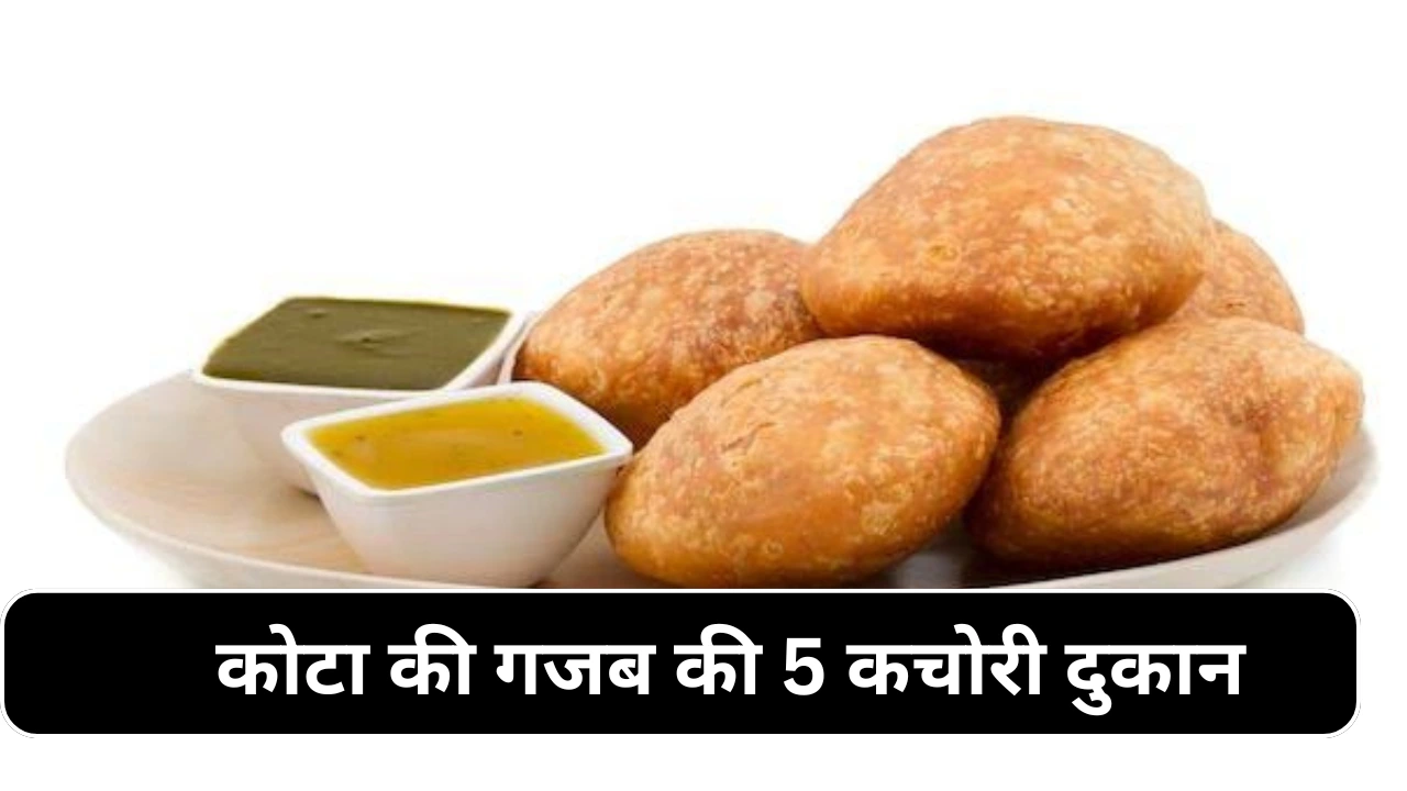 कोटा की पांच शानदार कचोरी की दुकान