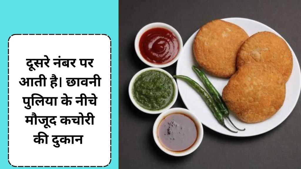 कोटा के प्रसिद्ध कचोरी दुकान