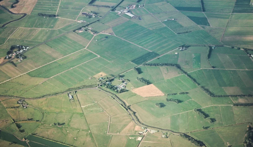 Zepto land plot servic