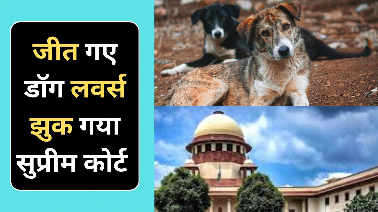 डॉग लवर्स के आगे झुक गया सुप्रीम कोर्ट, सुप्रीम कोर्ट ने बदला अपना फैसला