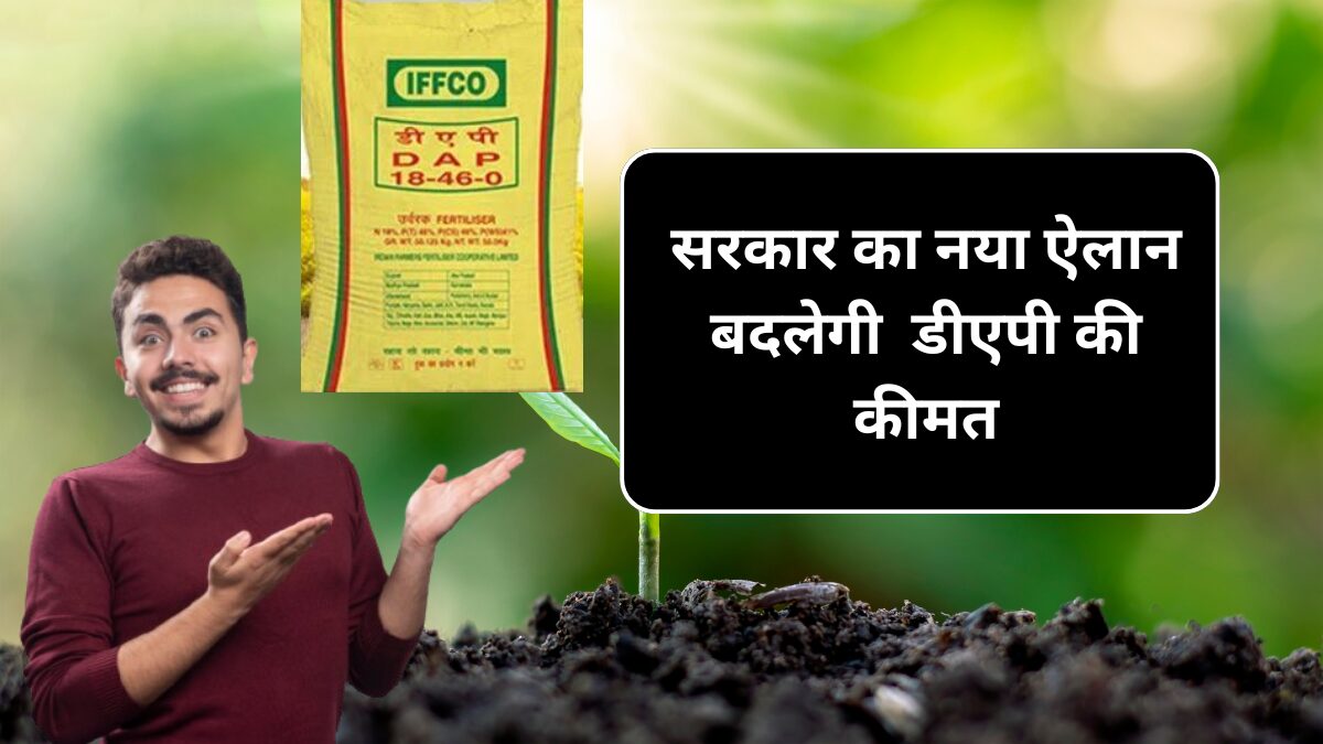 15 September Dap Khad Price : सरकार ने किया ऐलान अब बदलेगी dap की कीमत