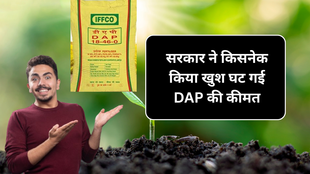 Dap Khad 16 September New Price: सरकार ने किसानों को दिया बड़ा तोहफा, घटाई डीएपी की कीमत