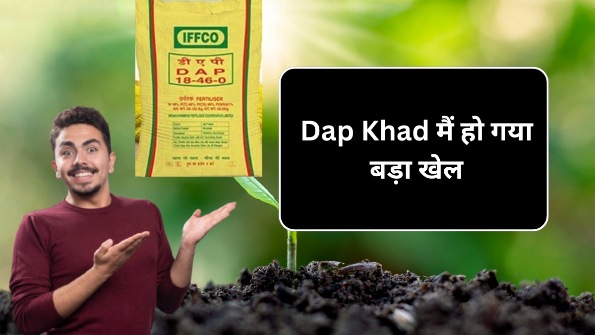 Dap Khad 19 September Price Update: 50 किलो डीएपी खाद पर मिलेगी अब भारी छूट