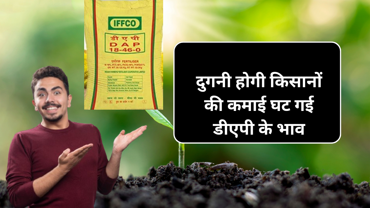 Dap Khad 20 September New Price : दुगनी होगी किसानों की कमाई घट गया डीएपी का भाव