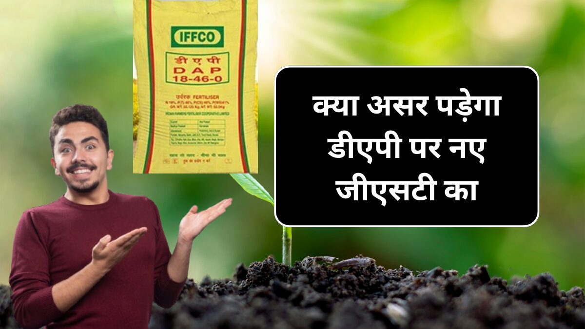 Dap Khad 21 September Price After GST: घट गई नई जीएसटी के बाद में डीएपी की कीमत