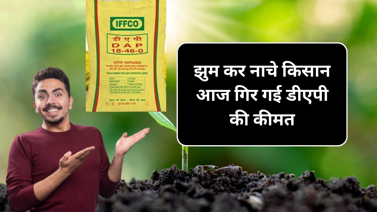 Dap khad 22 September Price out : झूम कर नाचे किसान आज गिर गई डीएपी की कीमते