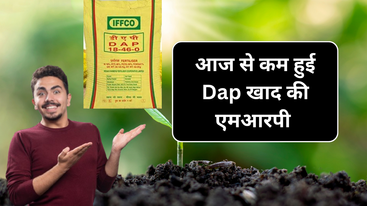 Dap Khad New MRP Price 29 September आज से कम हुई डिएपी खाद की एमआरपी