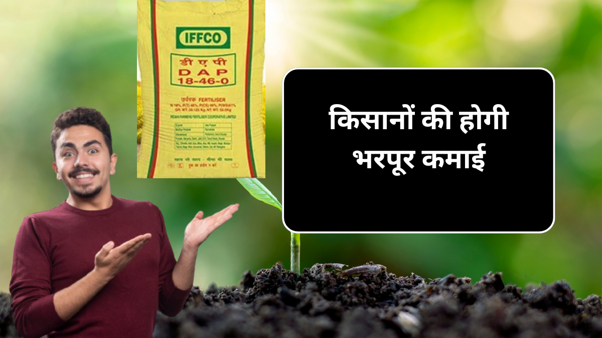 Dap Khad Aaj ka Price 27 September अब किसानों ने की होगी भरपूर कमाई, सच में घट गई डीएपी की कीमत