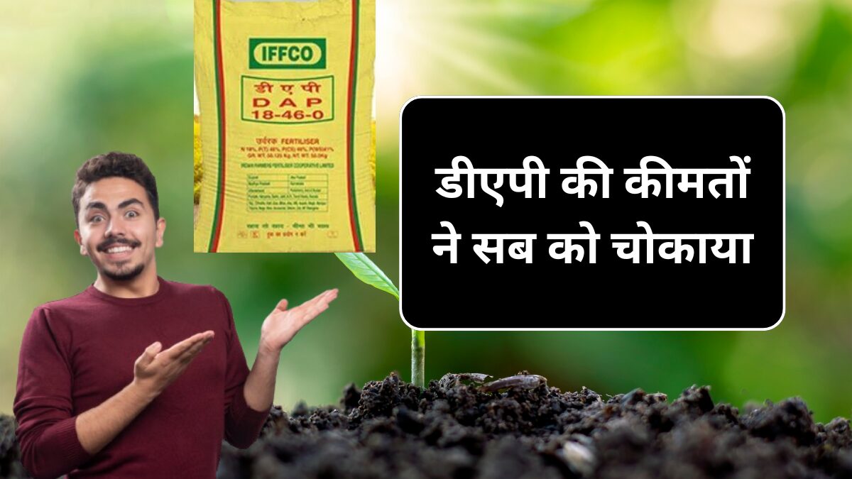 DAP Khad Price (10 September) : एक बार फिर DAP की कीमतों ने किसानों को चौंकाया