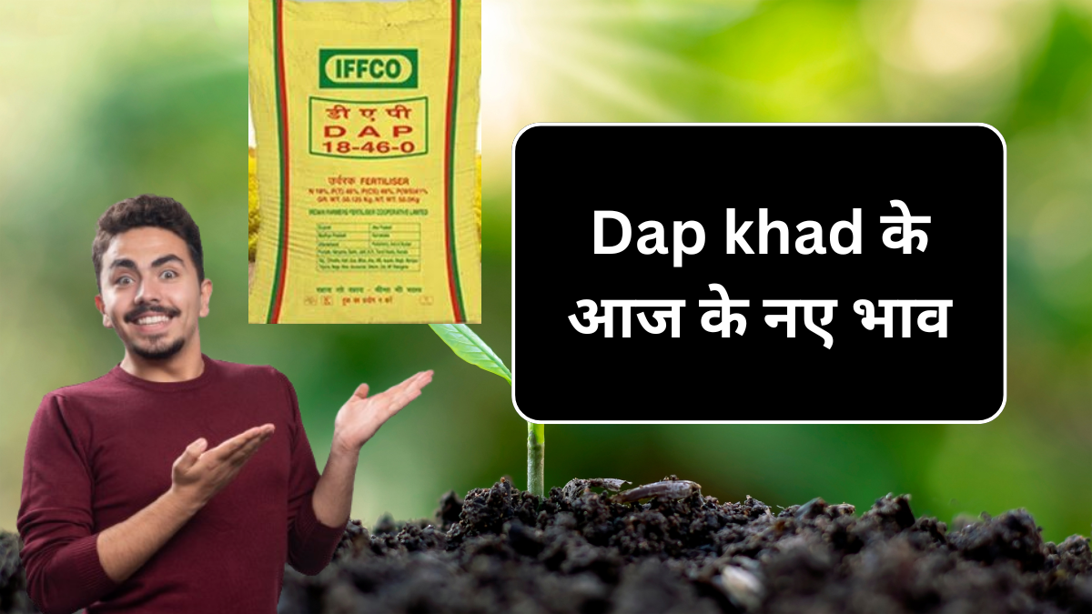 Dap Khad Price ( 11 September) : आज के दिन के नए डीएपी खाद के नए भाव
