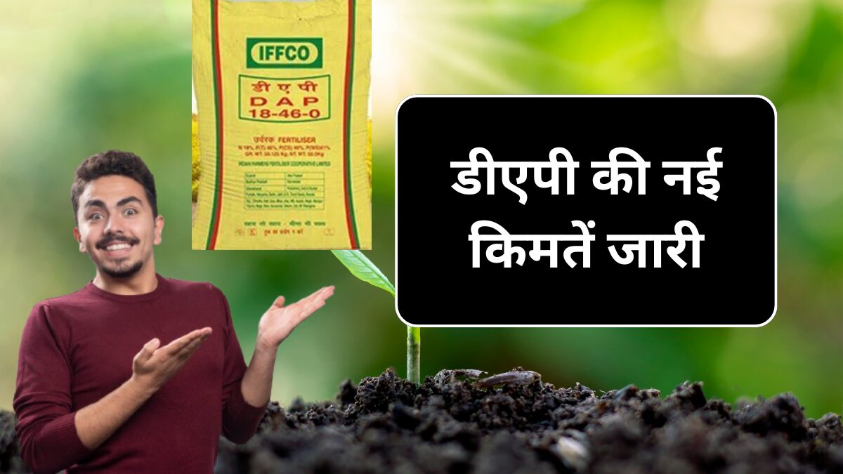Dap Khad Aaj 14 September Price: आज जारी हुई डीएपी की नई कीमत