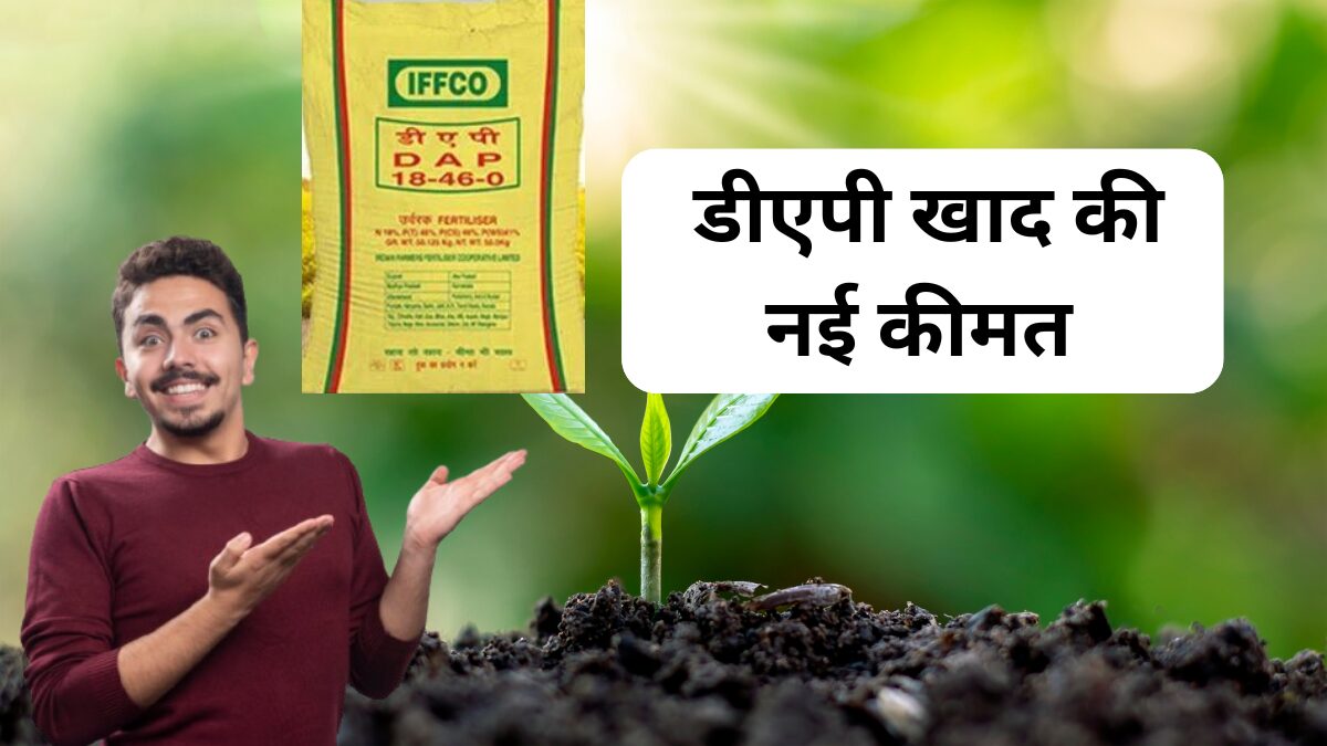 Dap Khad 3 September Price: डीएपी खाद की कीमत से किसान हुए खुश