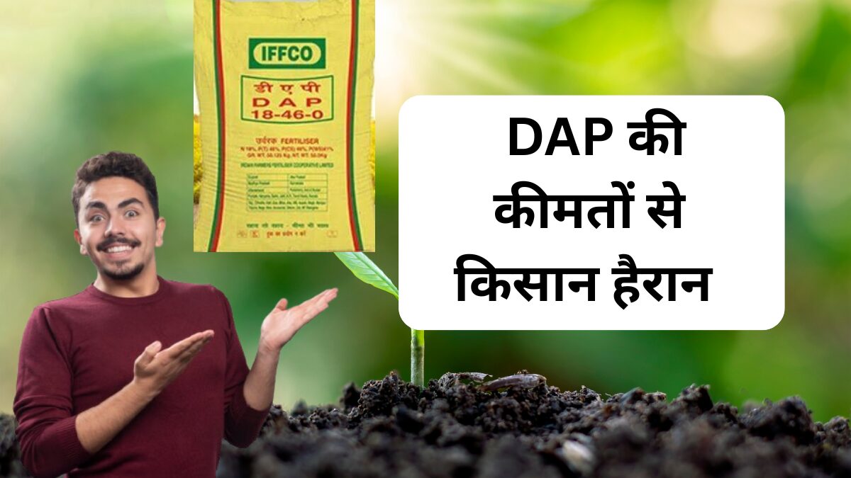 Dap Khad 4 September Price : डीएपी खाद की कीमत से किसान हैरान