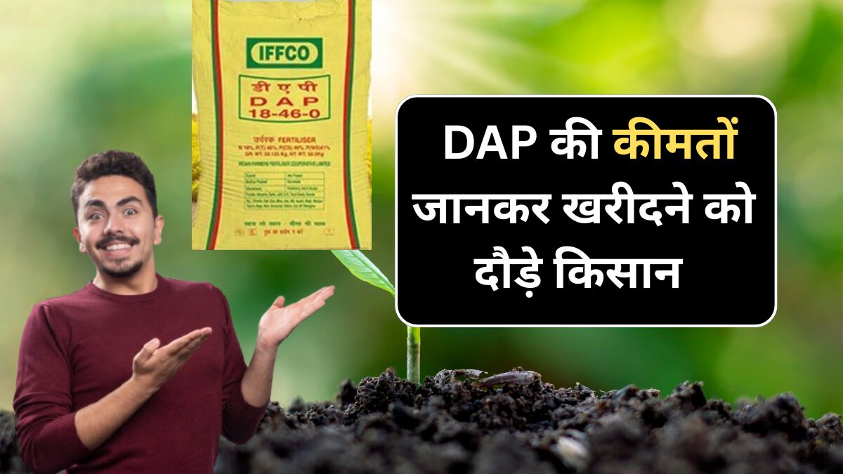 DAP Khad 5 September Price : डीएपी खाद में भारी गिरावट खरीदने को दौड़े लोग
