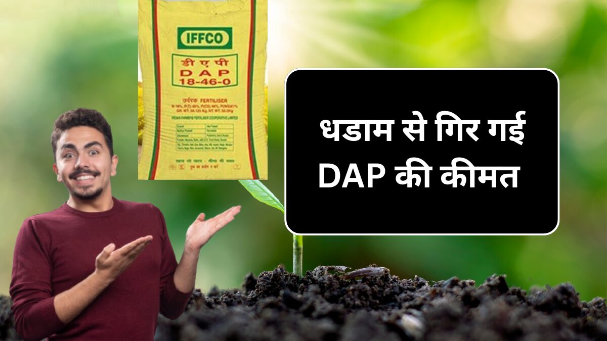 Dap Khad 7 September Price : नए जीएसटी के बाद धड़ाम से गिर गई डीएपी की कीमतें