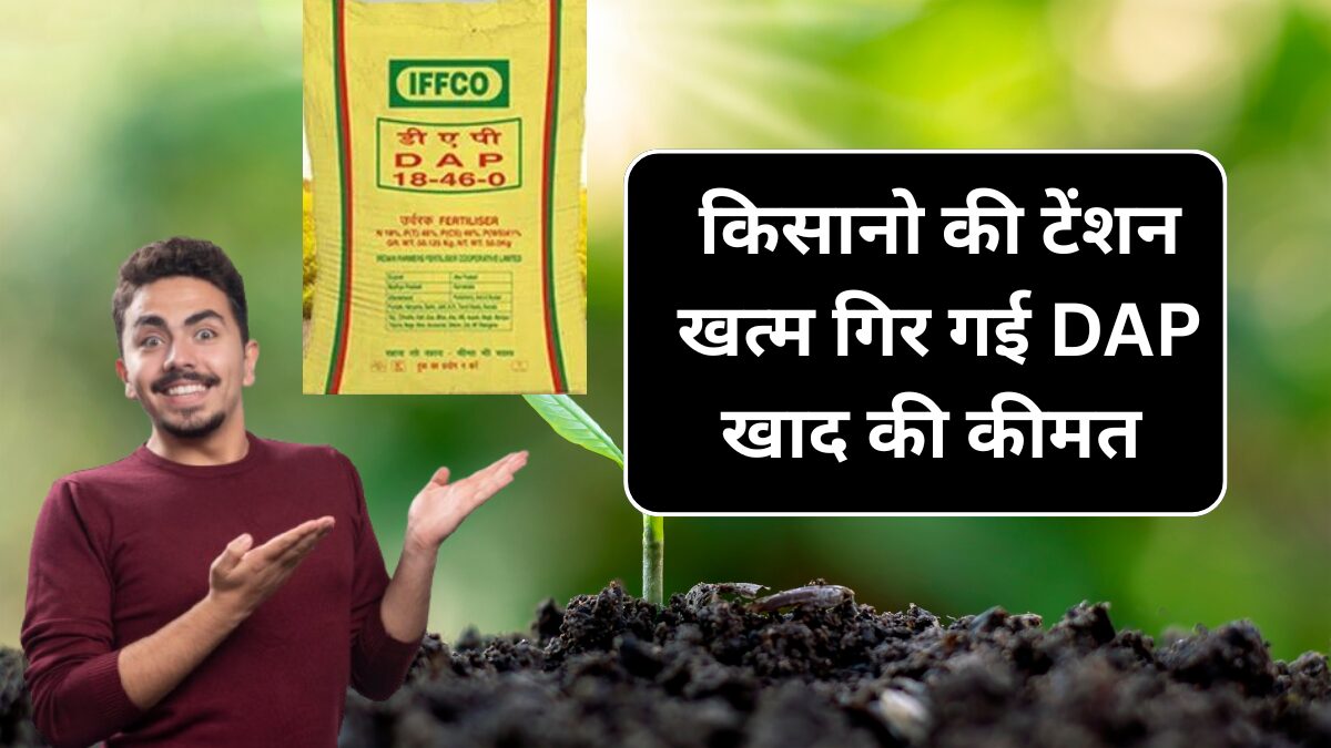 Dap Khad 8 September Price : किसानो की आधी टेंशन हुई खत्म, गिर गई डीएपी खाद की कीमत