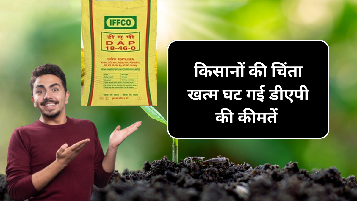Dap Khad ka 26 September Price: किसानो की चिंता हुई खत्म घट गई Dap की कीमत