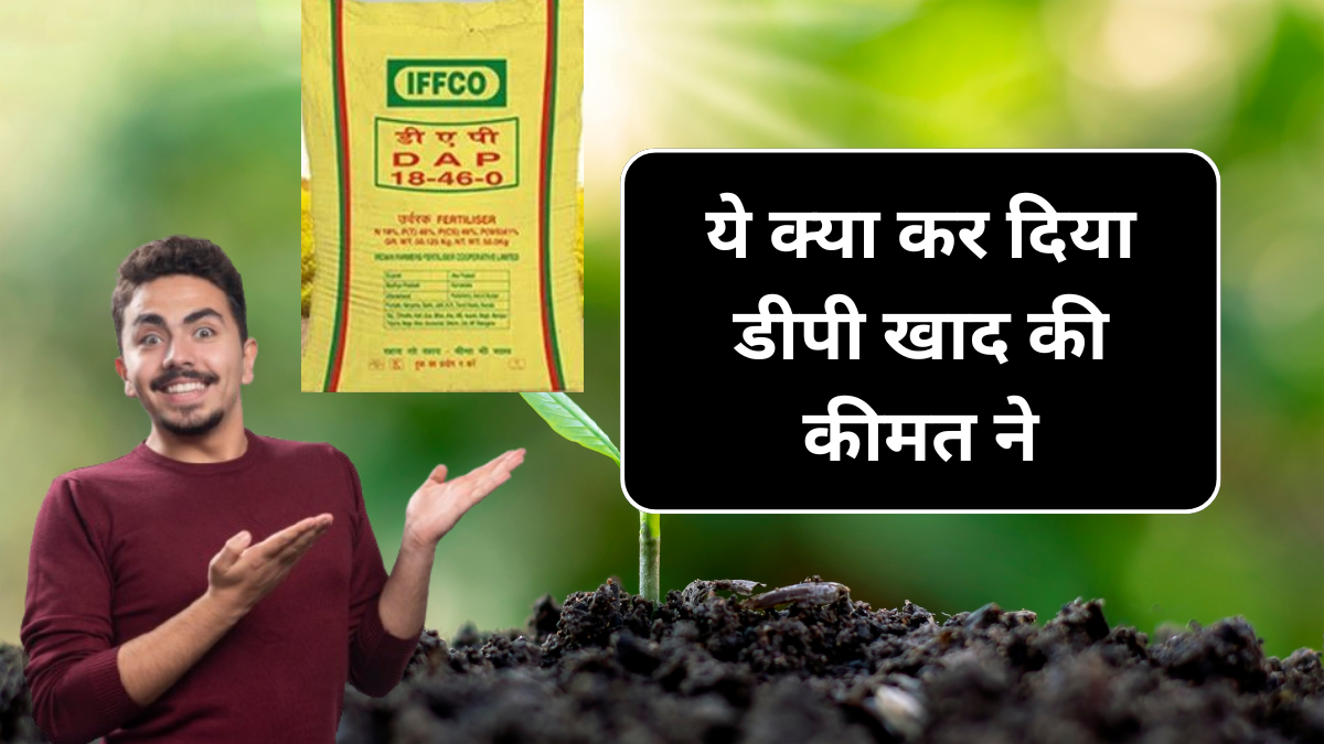 Webstories Day 2 Dap Khad Price 2 October: ये क्या हो गया डीएपी की कीमत के साथ