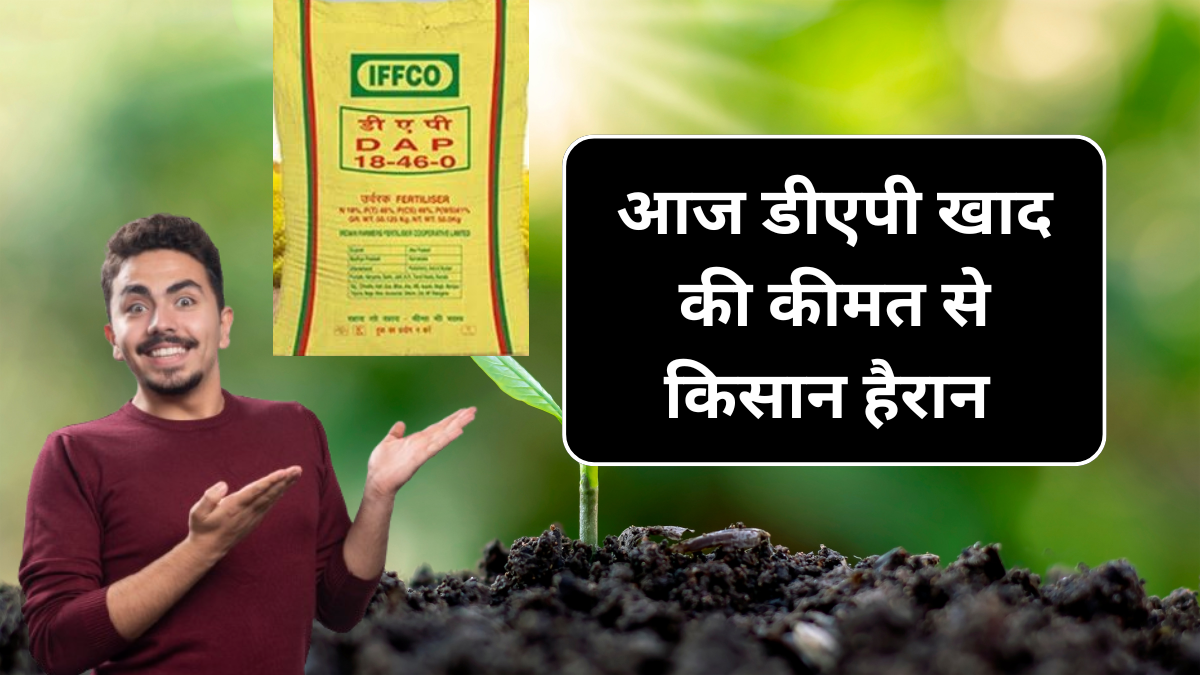 Webstories Day 3 Dap khad Mrp price 3 October: आज डीएपी खाद की कीमत से किसान हैरान