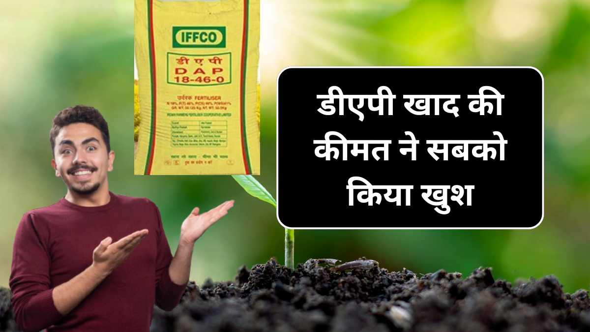 Webstories Day 4 Dap Khad Price 4 October: डीएपी की नई कीमत से किसान हुए खुश