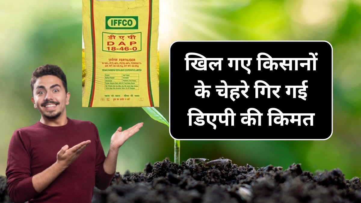 Webstories Day 5 Dap Khad Ki Price 5 October: खिल गए किसानों के चेहरे डीएपी खाद की कीमत सुनकर