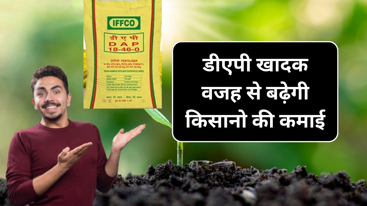 Webstories Day 8 Dap Khad 8 October Price : डीएपी की वजह से अब किसानो की बढ़ेगी कमाई
